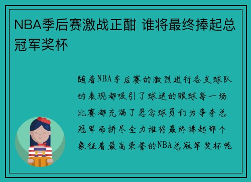 NBA季后赛激战正酣 谁将最终捧起总冠军奖杯